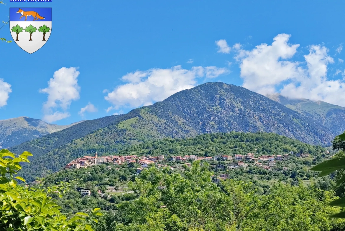 Maison de village rénovée à vendre à Belvédère avec appartements indépendants et vue montagne 