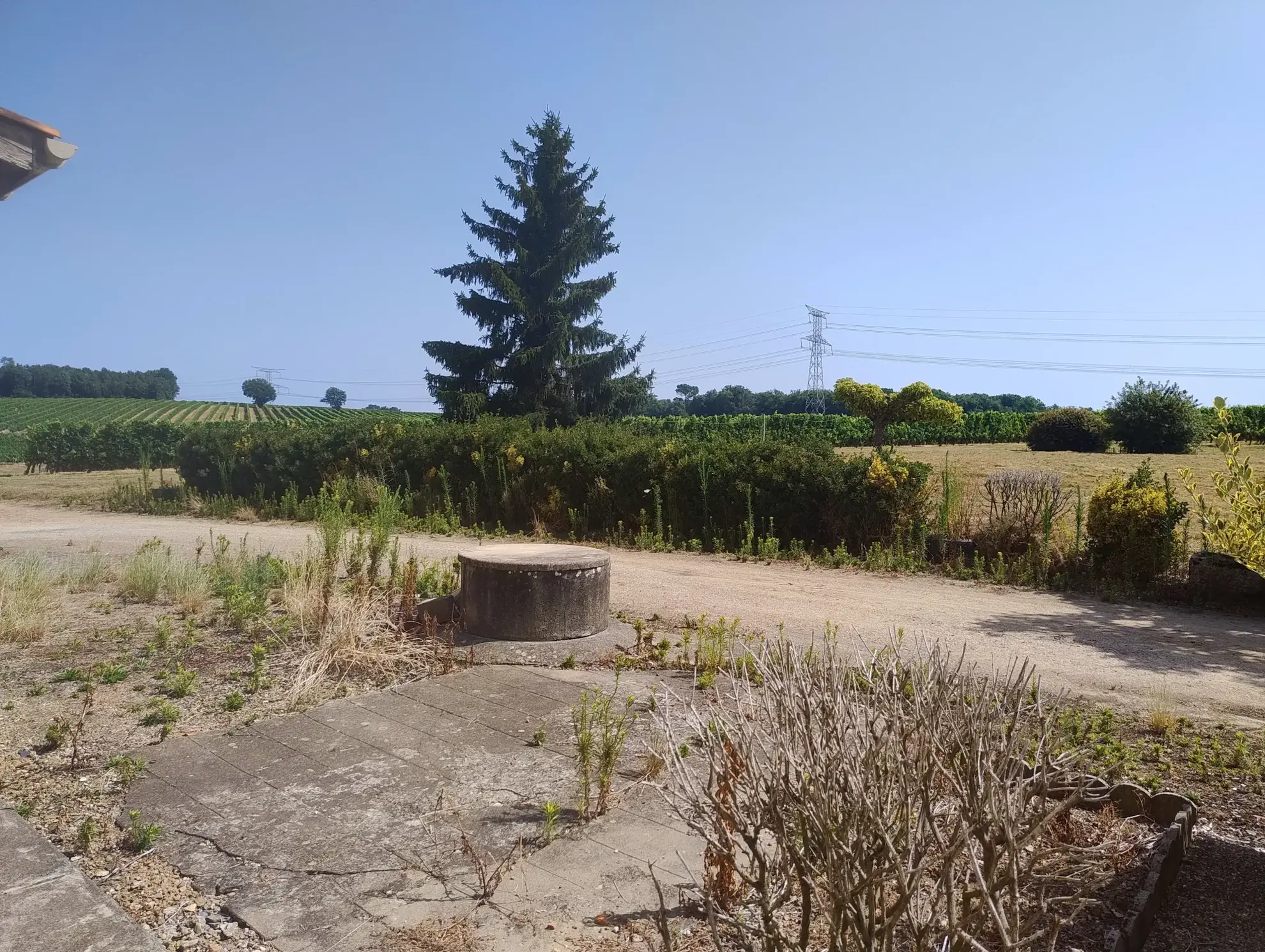 Belle ferme viticole à rénover à Caplong - 234 m² avec terrain de 6095 m² 