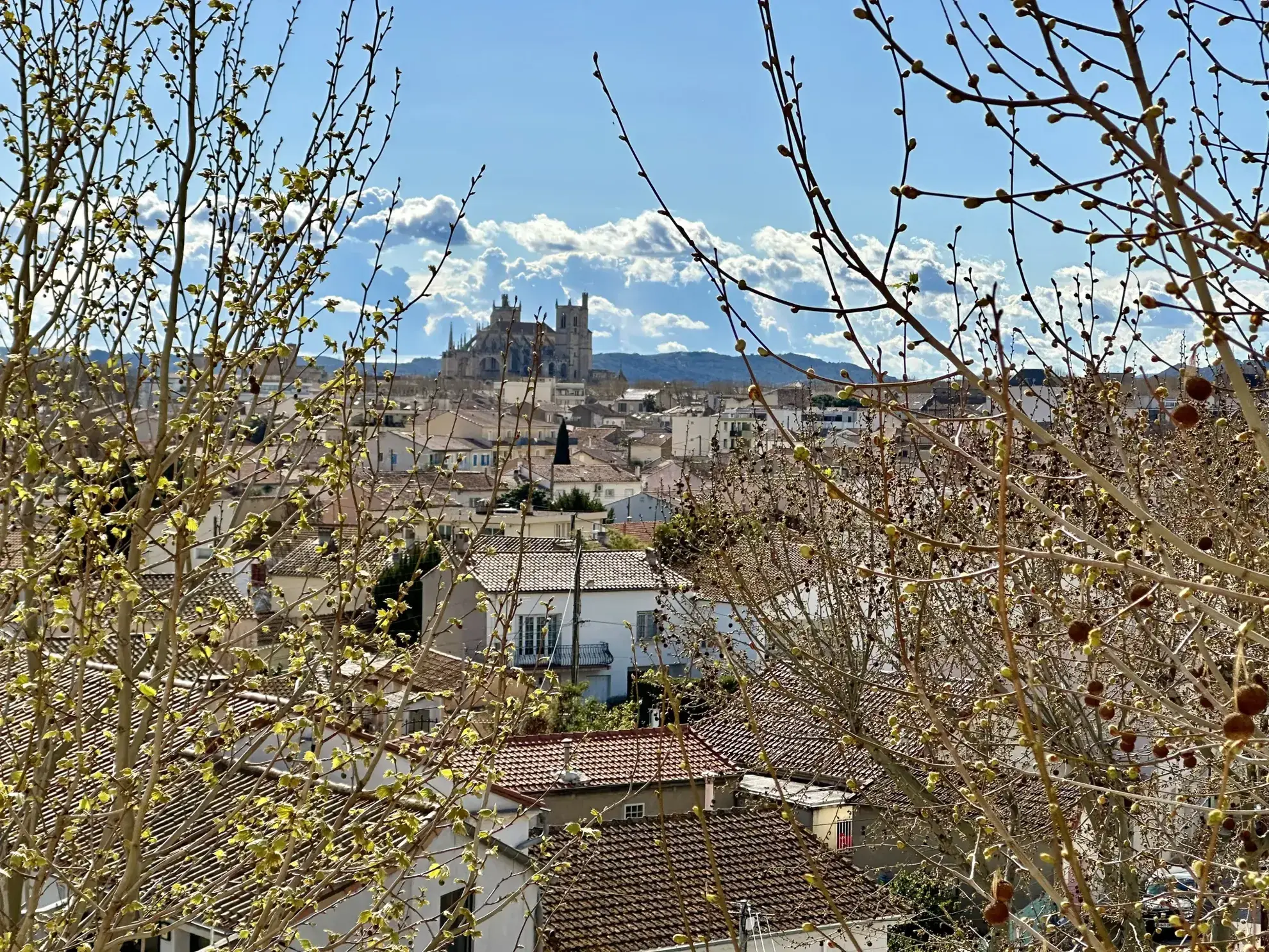Appartement T3 avec vue sur la Cathédrale à Narbonne 