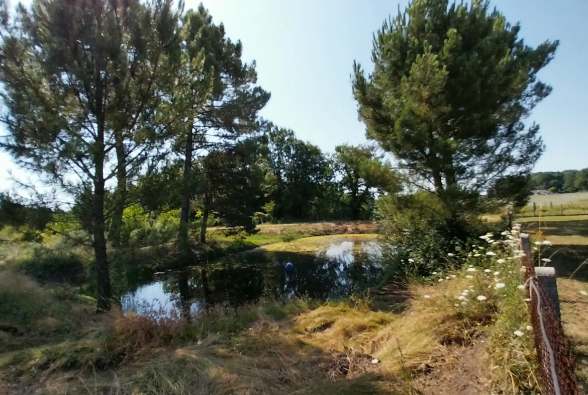 Belle maison en pierre avec piscine sur 2 hectares à Razac-sur-l'Isle 