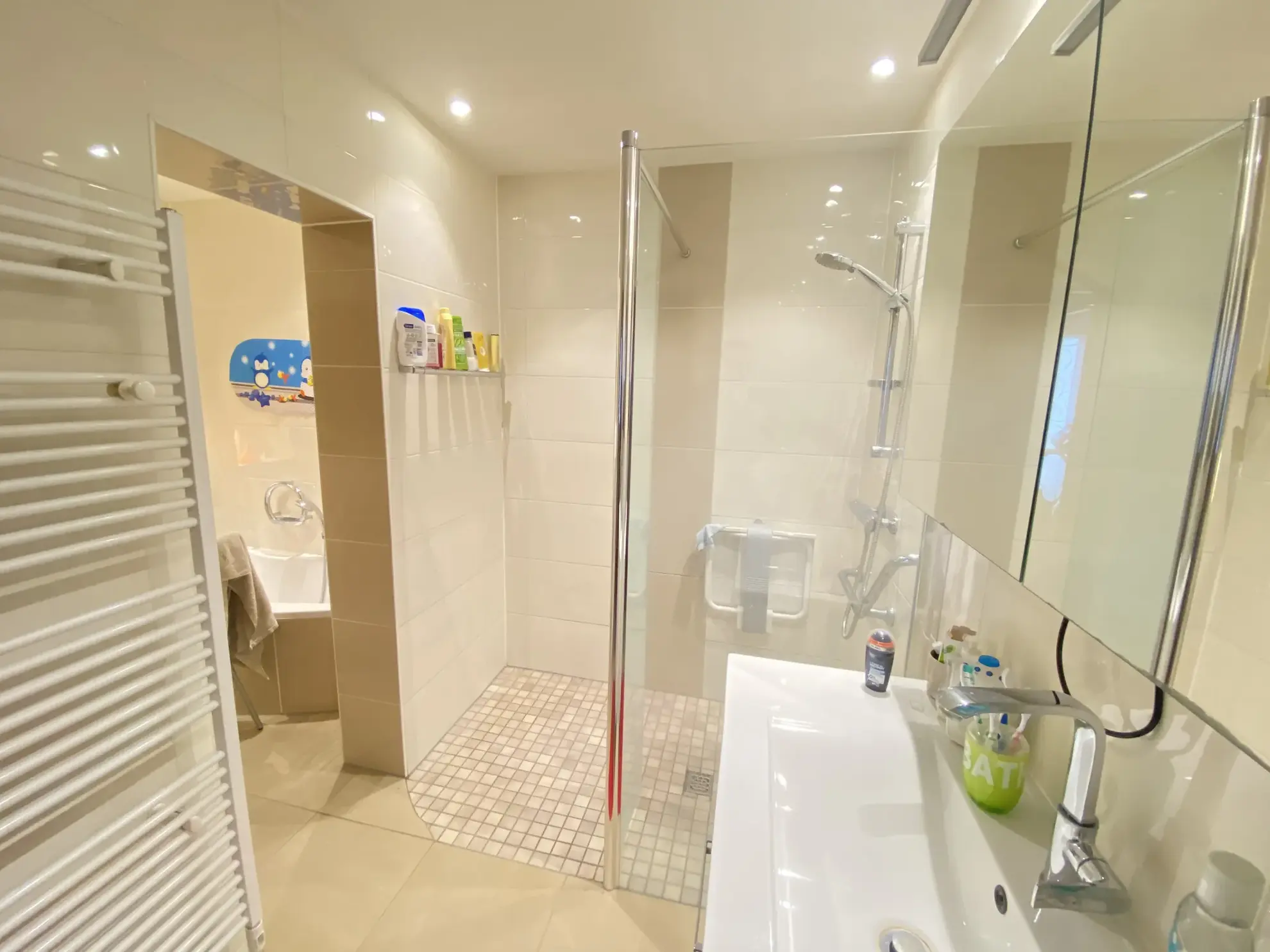 Bel appartement de 110 m² avec terrasse et balcon dans le quartier des Aviateurs à Sélestat 