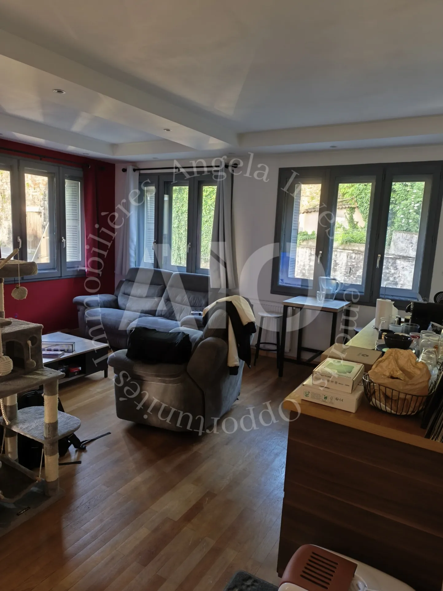 Appartement T3 avec balcon et cave à Lyon 5 - 68 m², bien situé 
