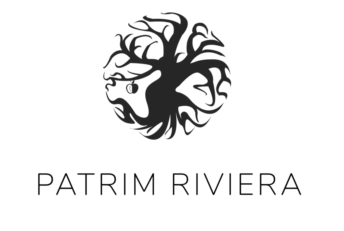 Investissement immobilier rentabilité 6 % - Studio en bail commercial à Saint-Laurent-du-Var 