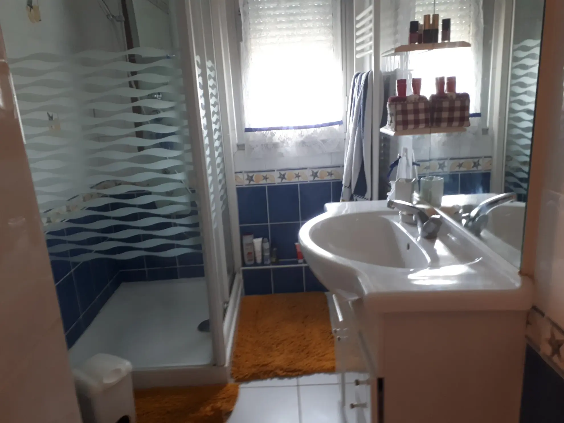 Maison de 166 m² avec jardin arboré et garage à Chatellerault 