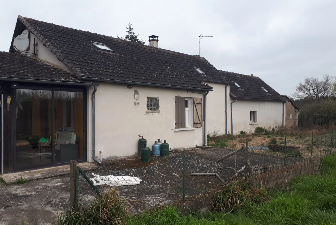 Magnifique maison avec étang et jardin à Les Ormes - 176 m² 