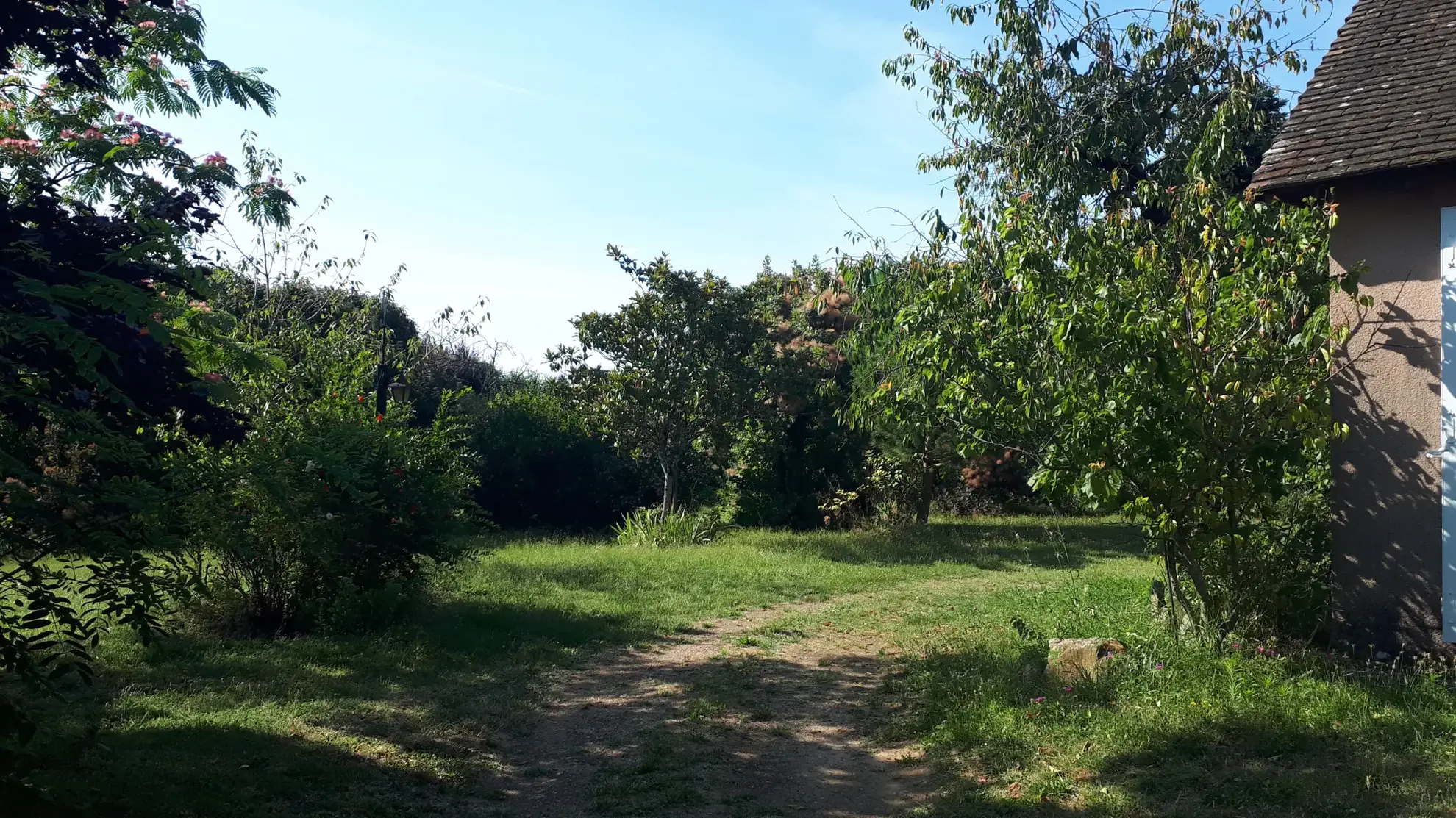 Charmante maison avec annexe et grand terrain à Les Ormes (86) 