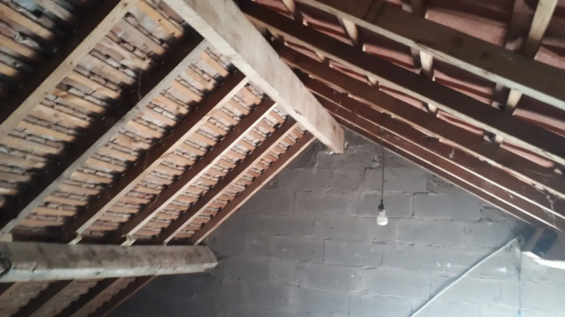 Charmante maison avec annexe et grand terrain à Les Ormes (86) 