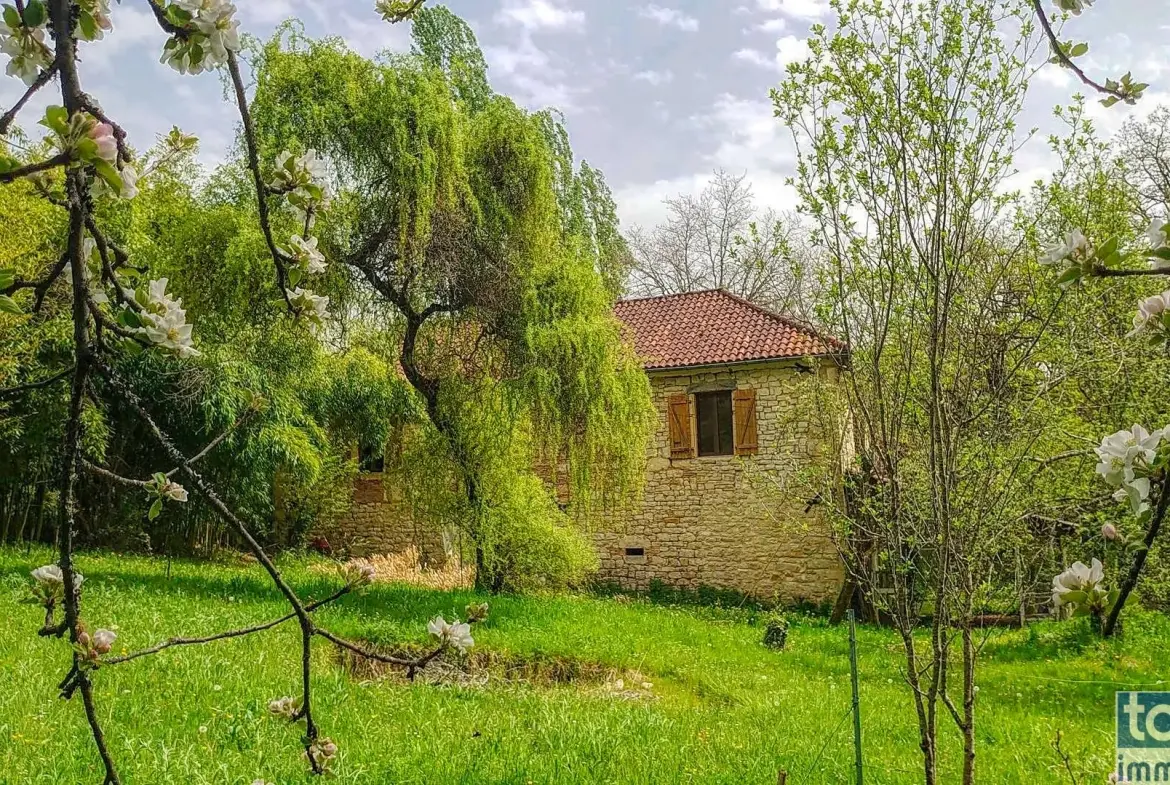 Charmante maison en pierre avec terrain fruitier à Boissières, proche Cahors 