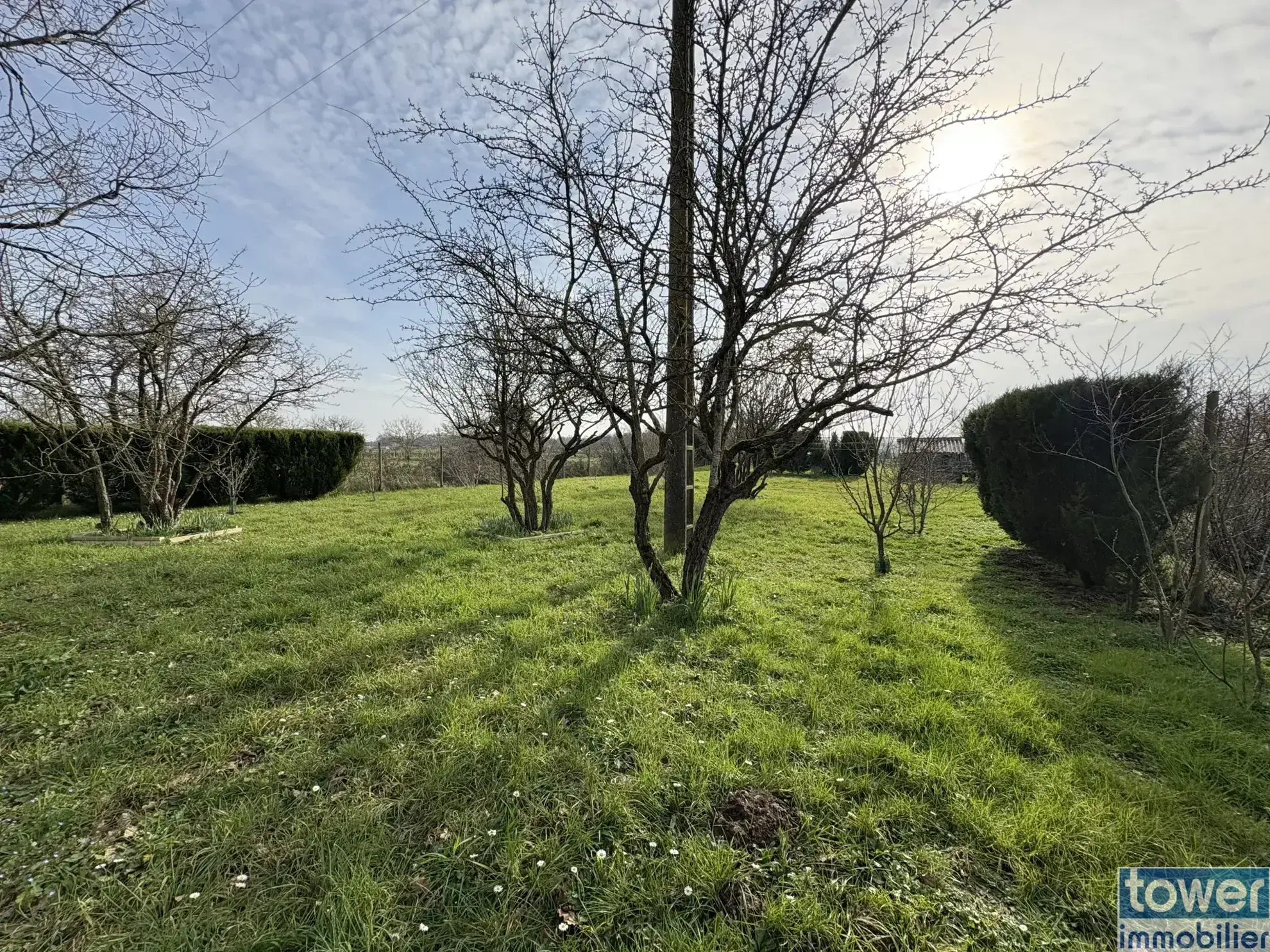 Terrain de loisir arboré de 1170 m² à Le Chay, idéal pour camping et vacances 