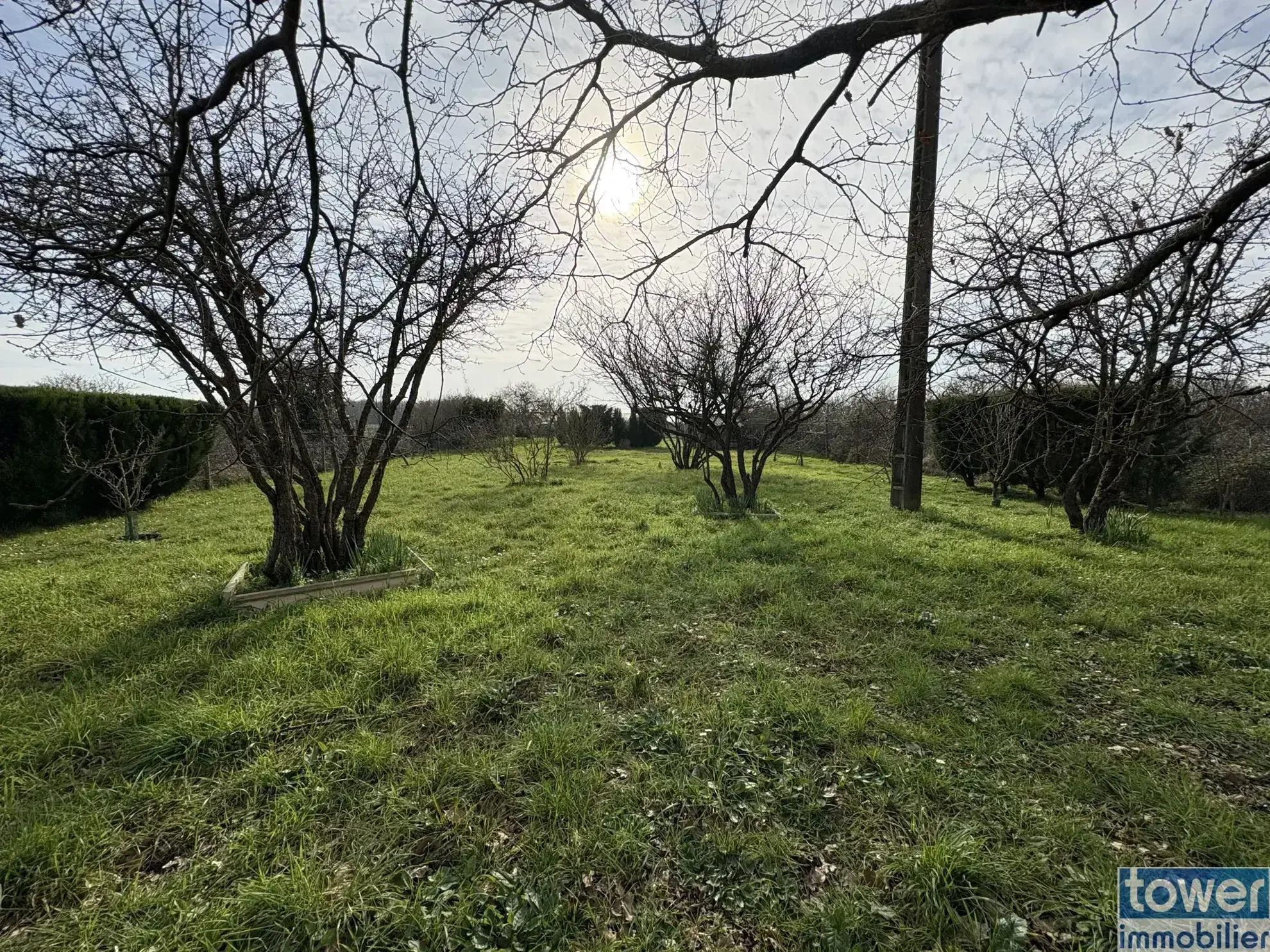 Terrain de loisir arboré de 1170 m² à Le Chay, idéal pour camping et vacances 