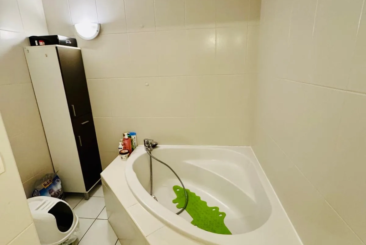 Appartement T4 à Grenoble, 92 m² rénové, proximité clinique Mutualiste 