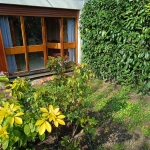 Chambre de service avec jardinet à La Celle-Saint-Cloud - Investissement ou pied-à-terre