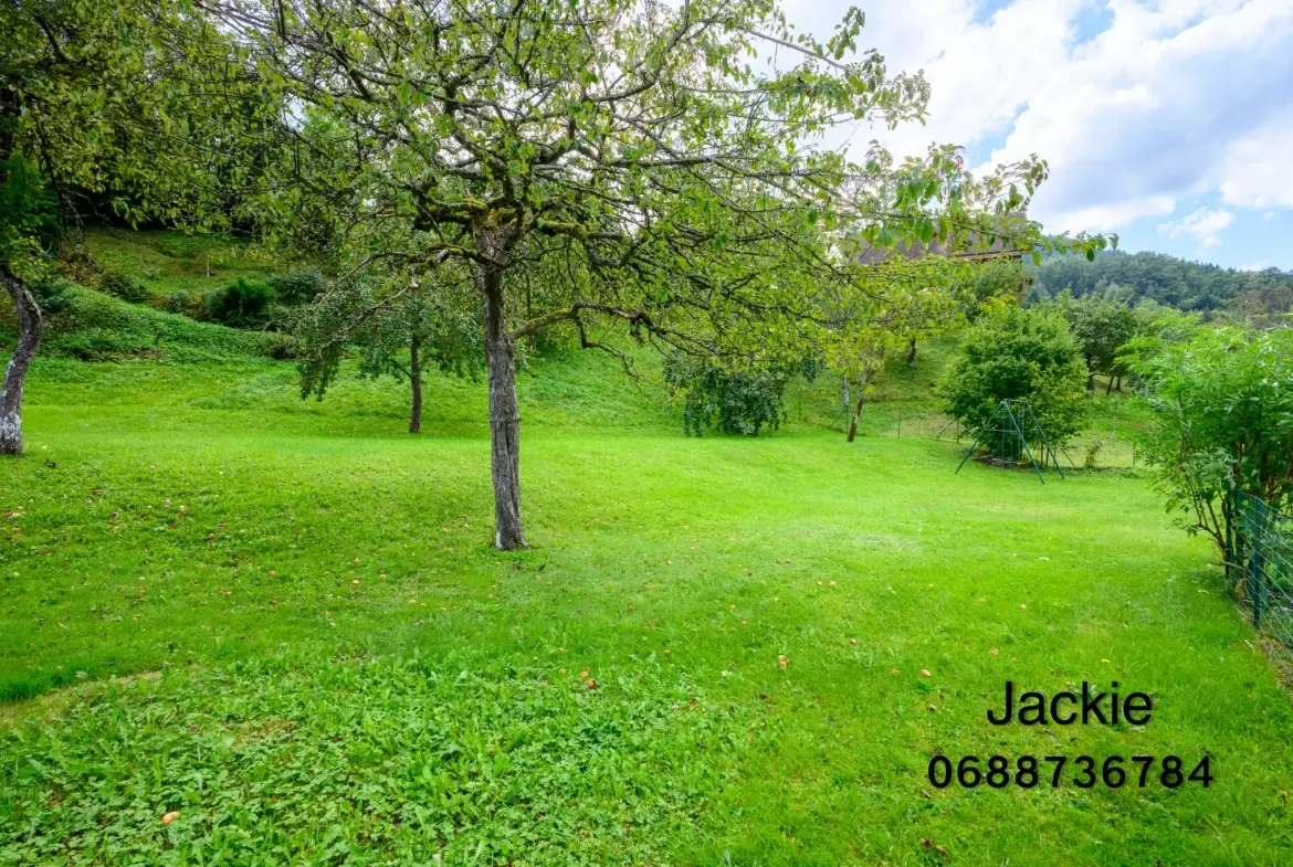 Ensemble immobilier de montagne à vendre aux Vosges avec terrain et vue panoramique 