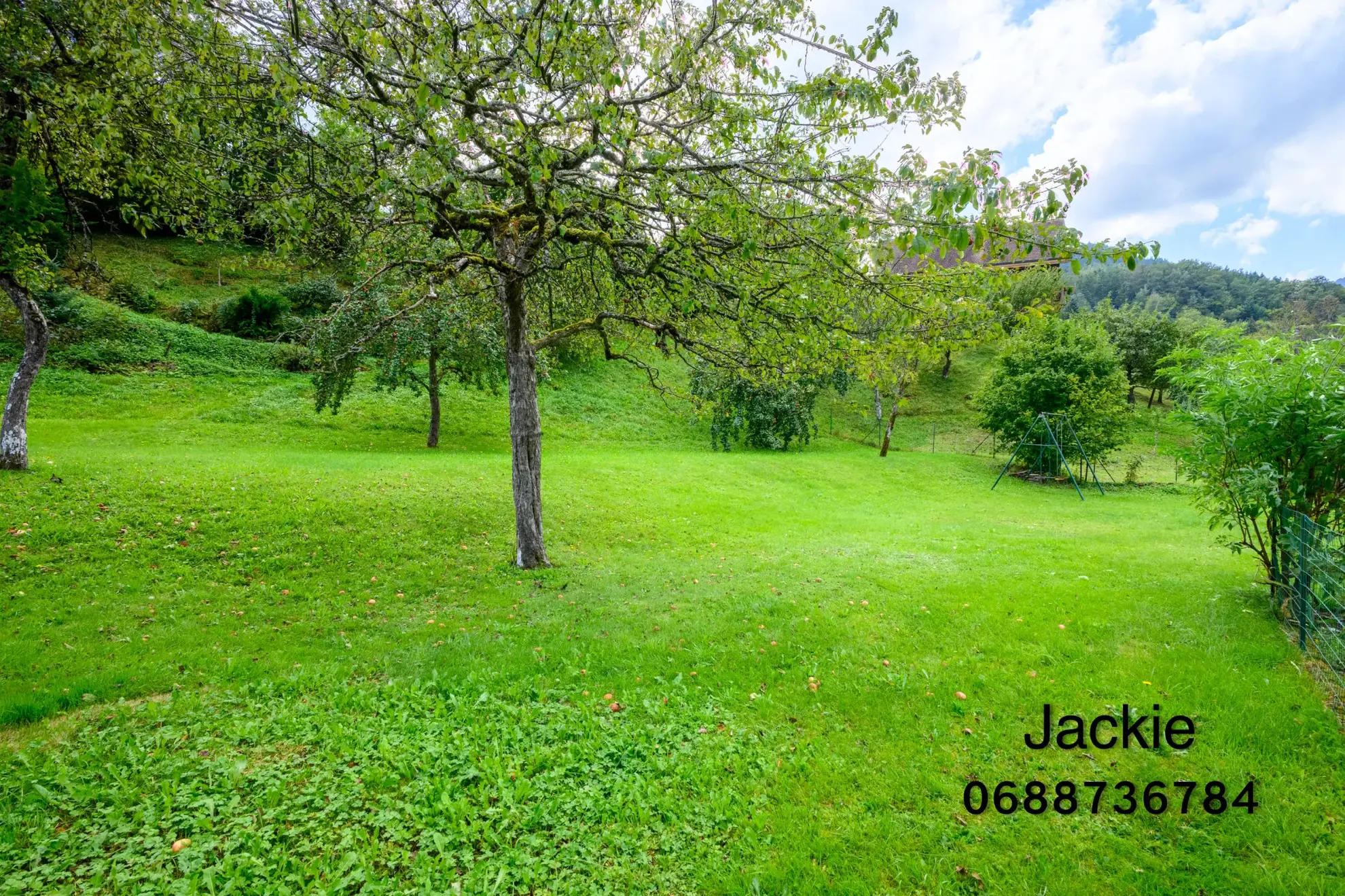 Ensemble immobilier de montagne à vendre aux Vosges avec terrain et vue panoramique 