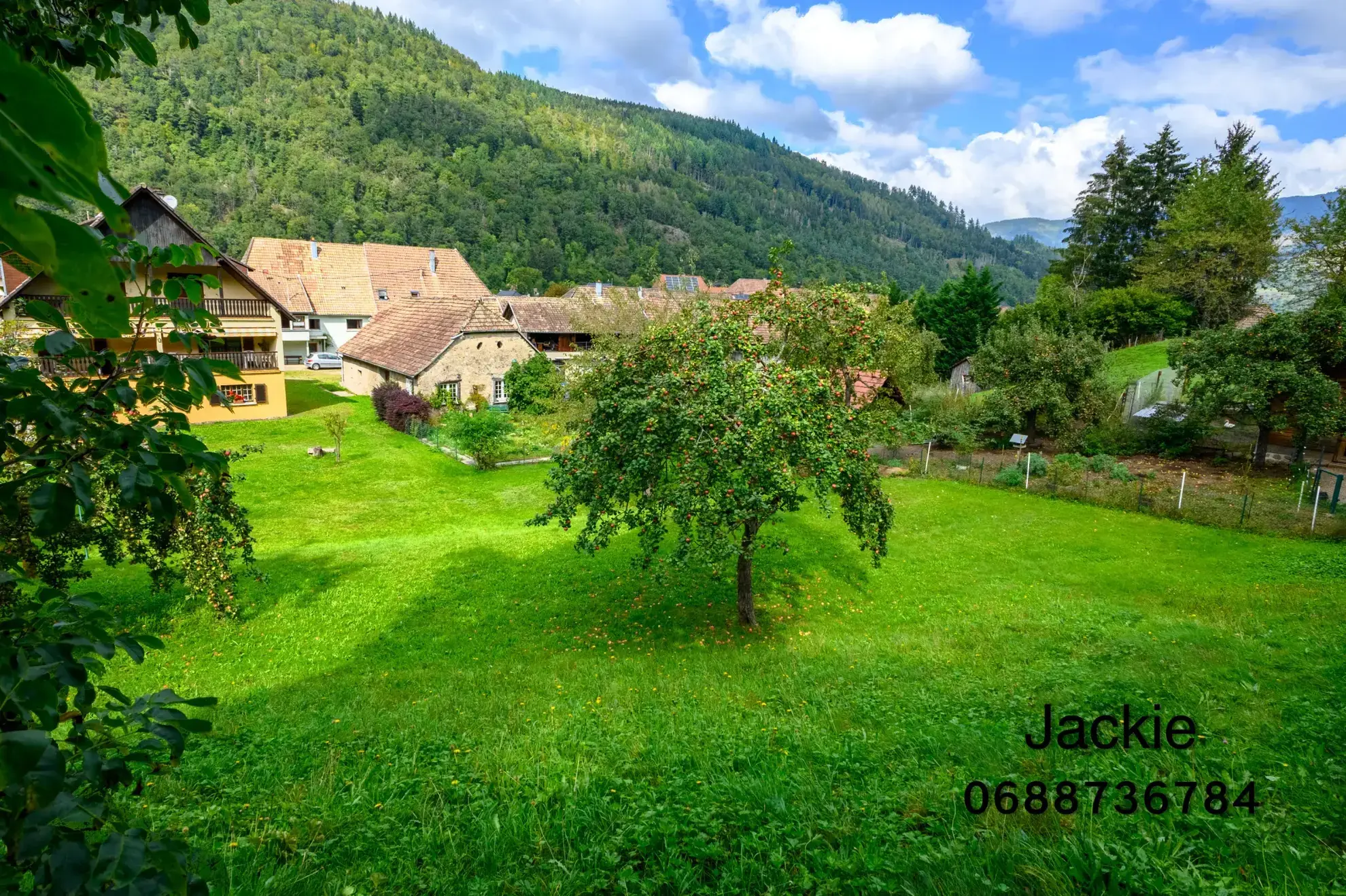 Ensemble immobilier de montagne à vendre aux Vosges avec terrain et vue panoramique 