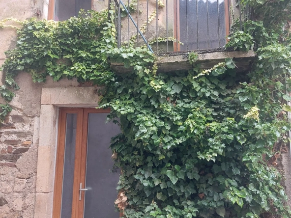 Maison de village à Fayet, 57 m² à rénover en campagne