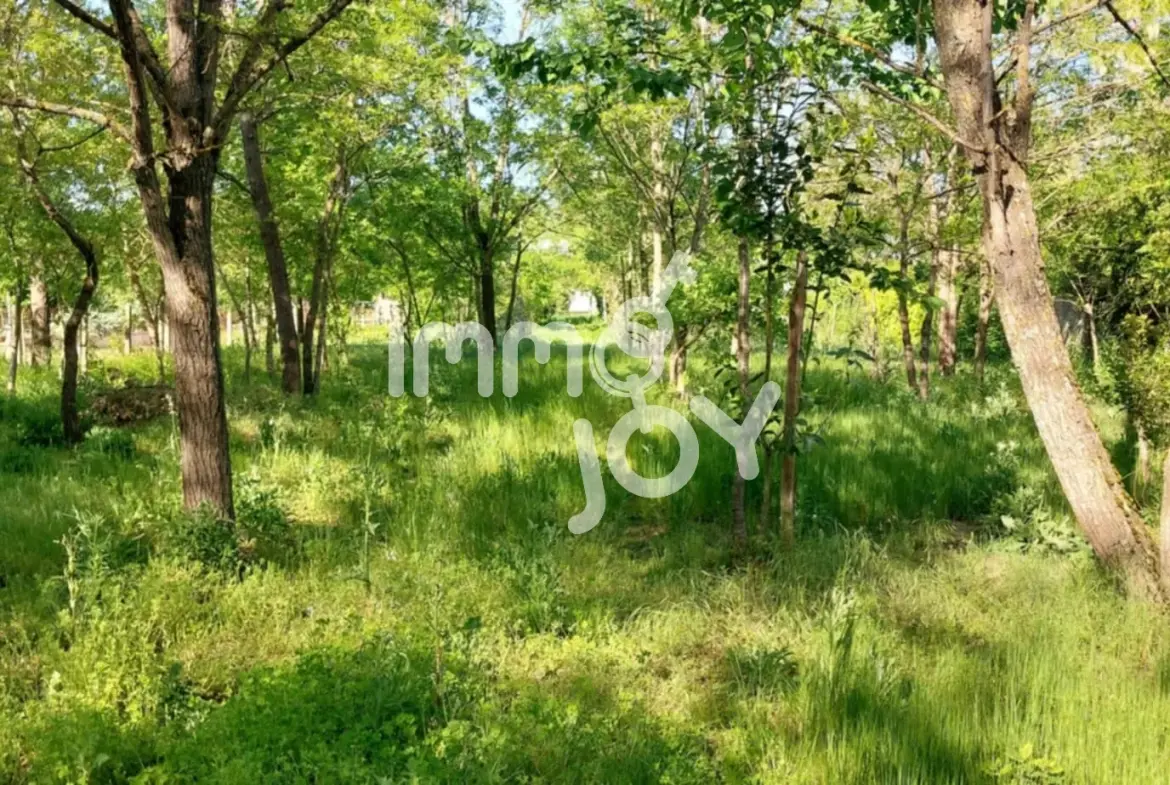 Terrain constructible de 1096 m² à vendre à Grepiac, proche Toulouse 