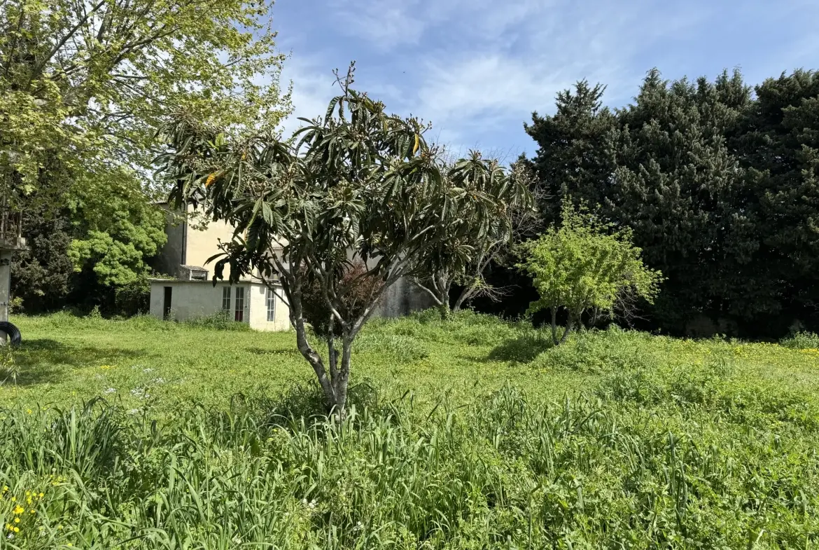 Terrain à bâtir de 421 m² à Caderousse proche d’Orange et Avignon 