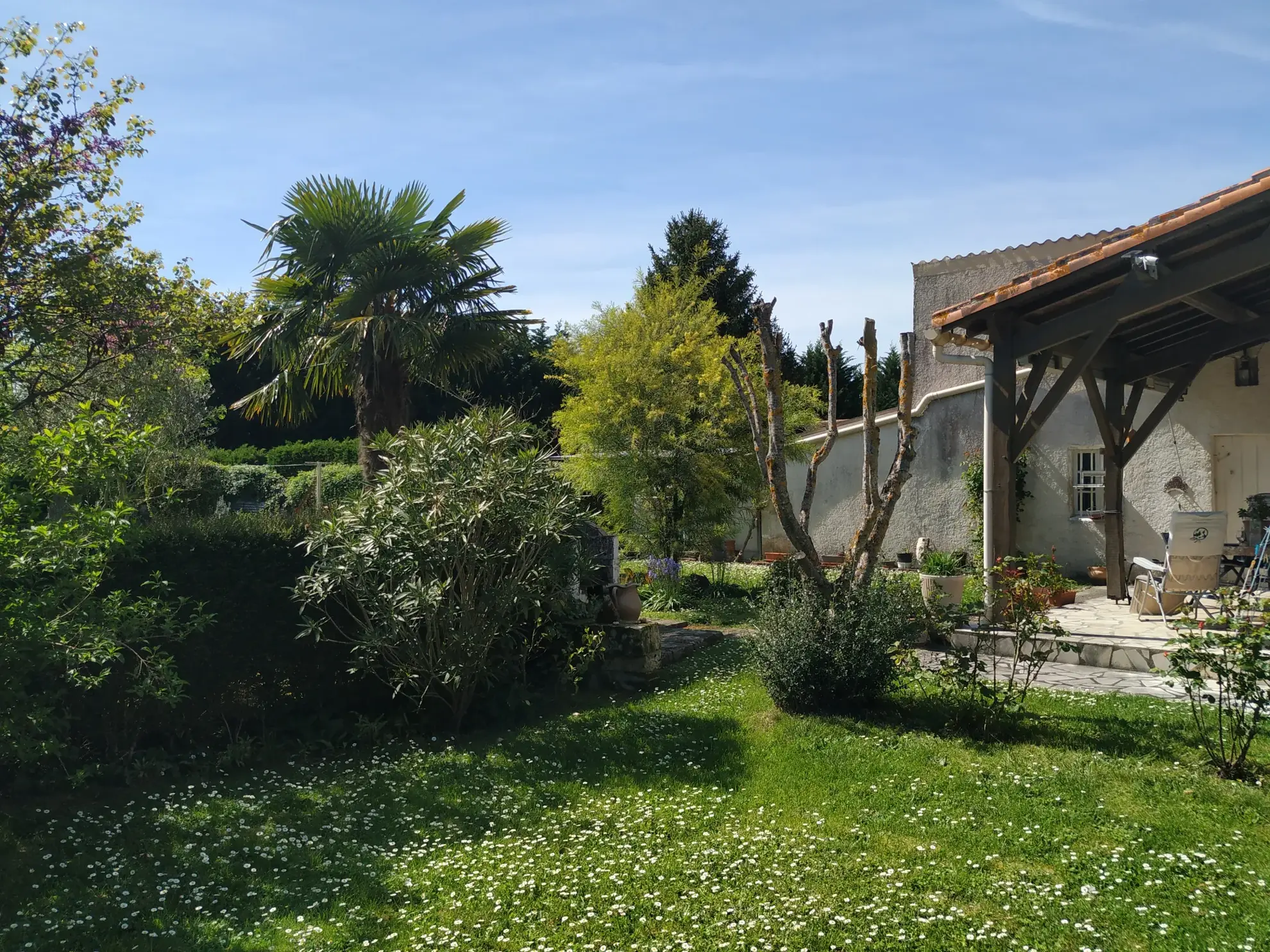 Maison charentaise à Jonzac de 121 m² avec terrain arboré et rénovation récente 