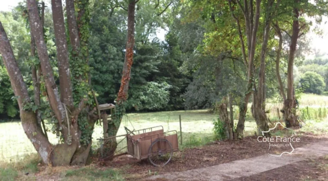 Charmante maison à rénover à Dohis avec vue dégagée – 630 m² de terrain 