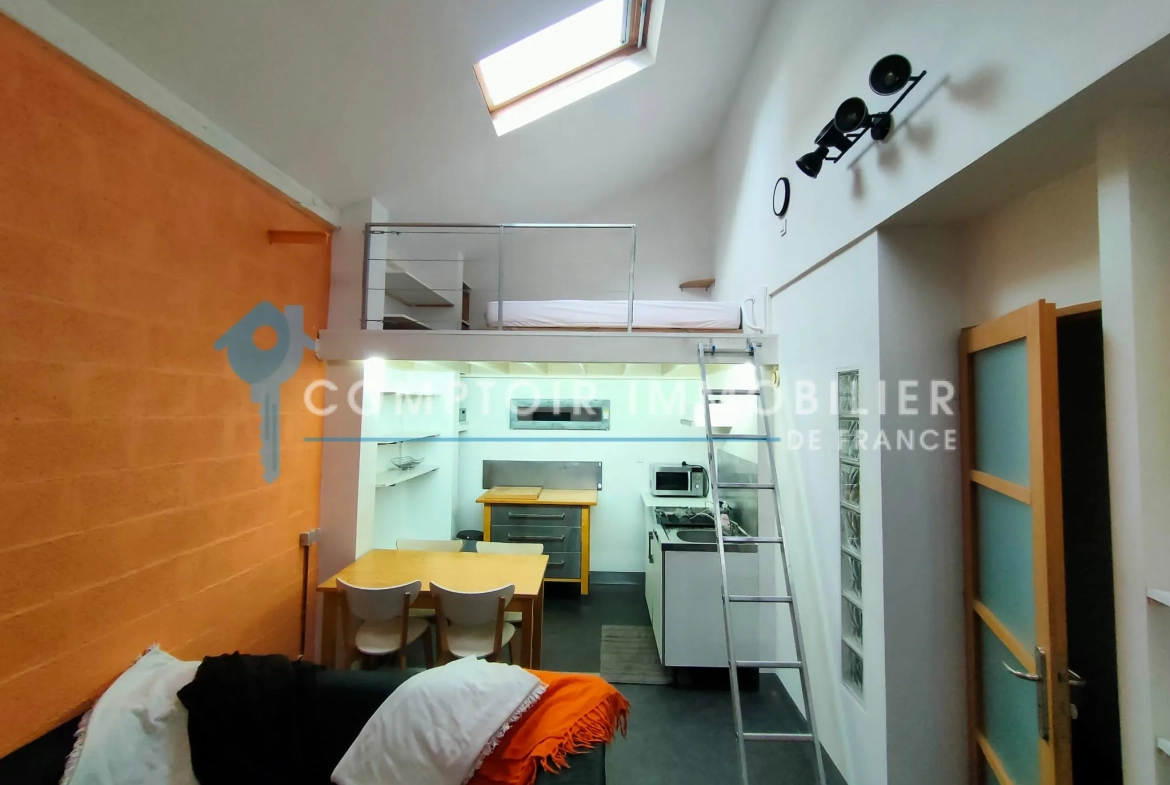 Studio à vendre à Grenoble Europôle - 21m2, idéal investisseur 