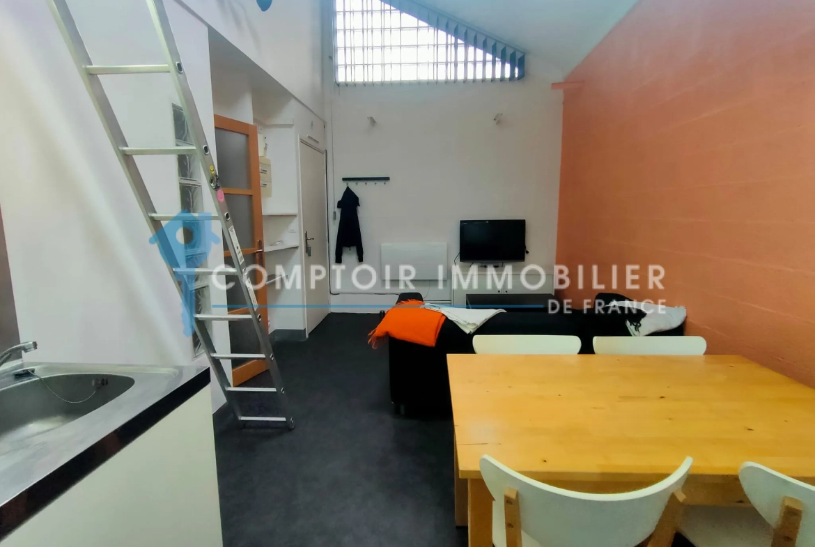 Studio à vendre à Grenoble Europôle - 21m2, idéal investisseur 