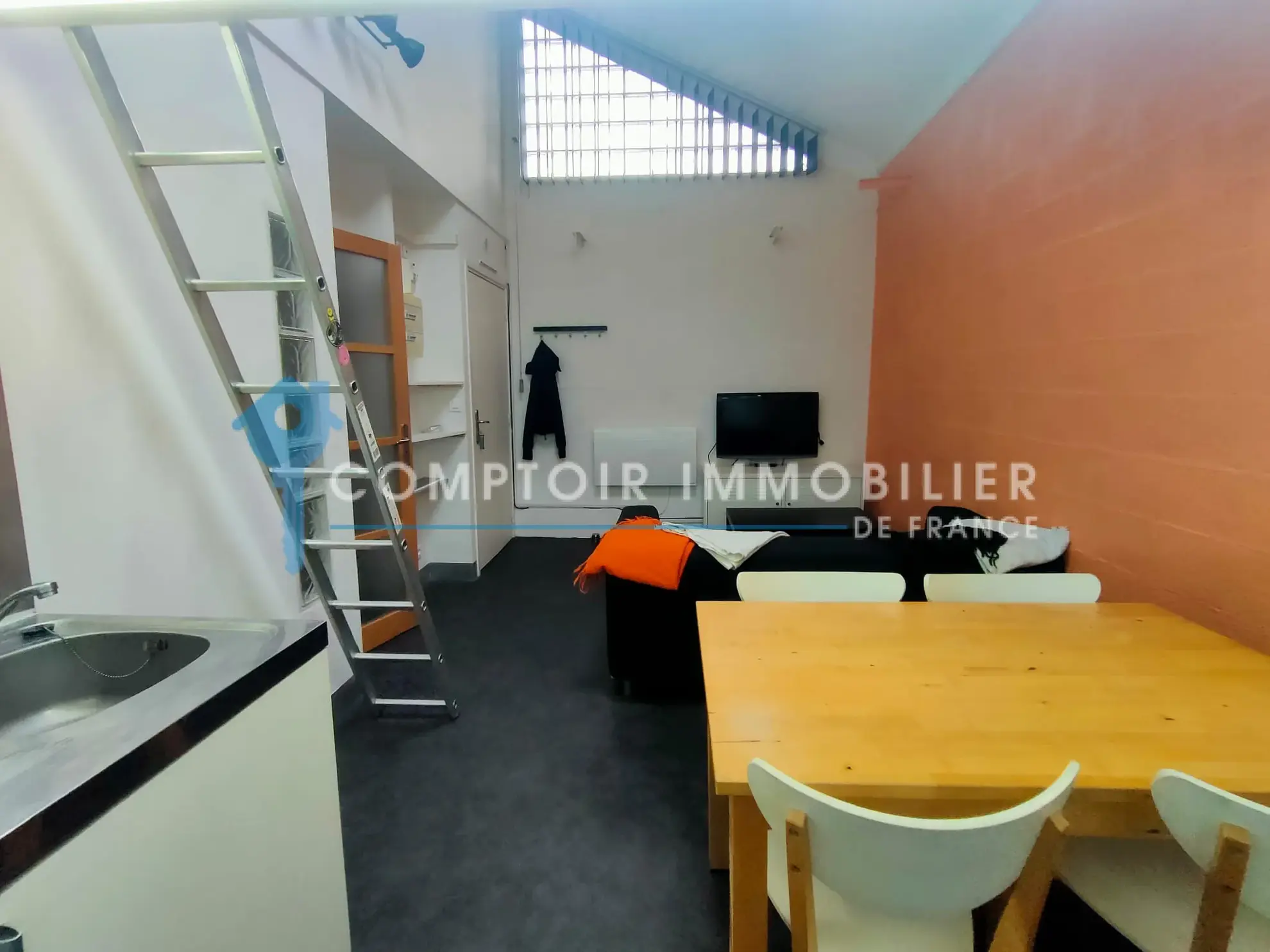Studio à vendre à Grenoble Europôle - 21m2, idéal investisseur 