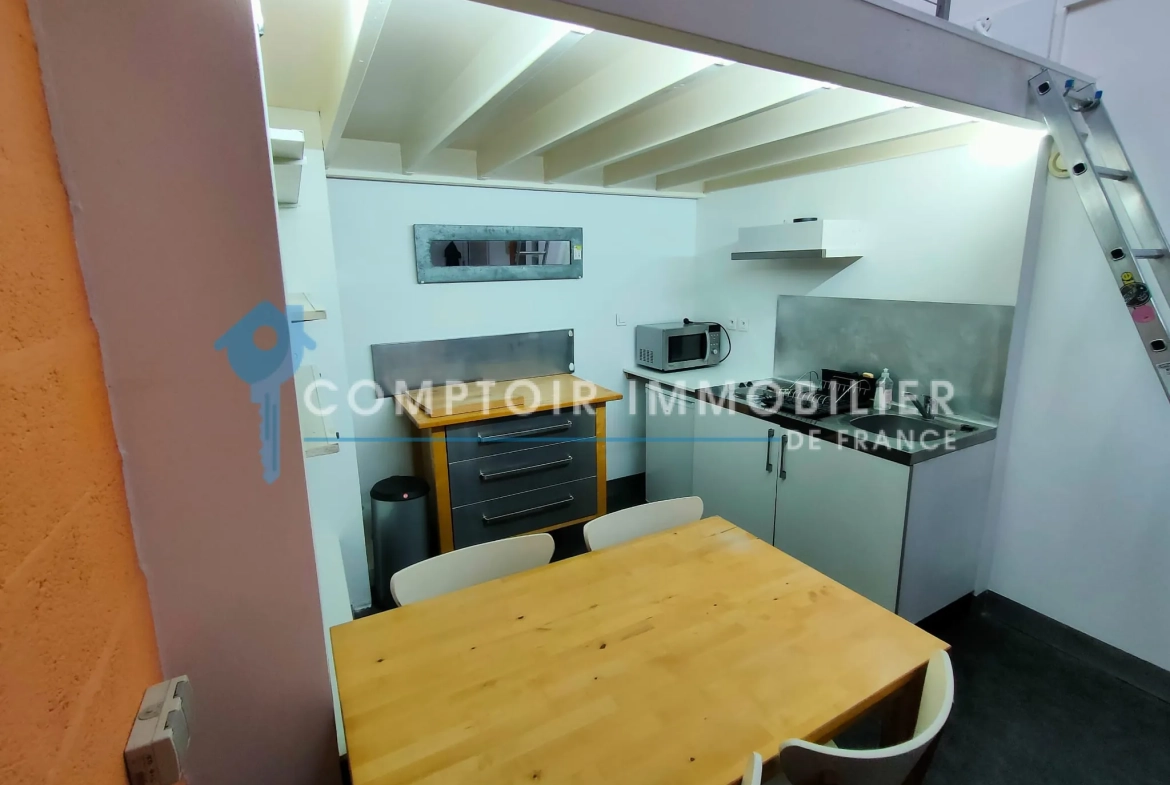 Studio à vendre à Grenoble Europôle - 21m2, idéal investisseur 