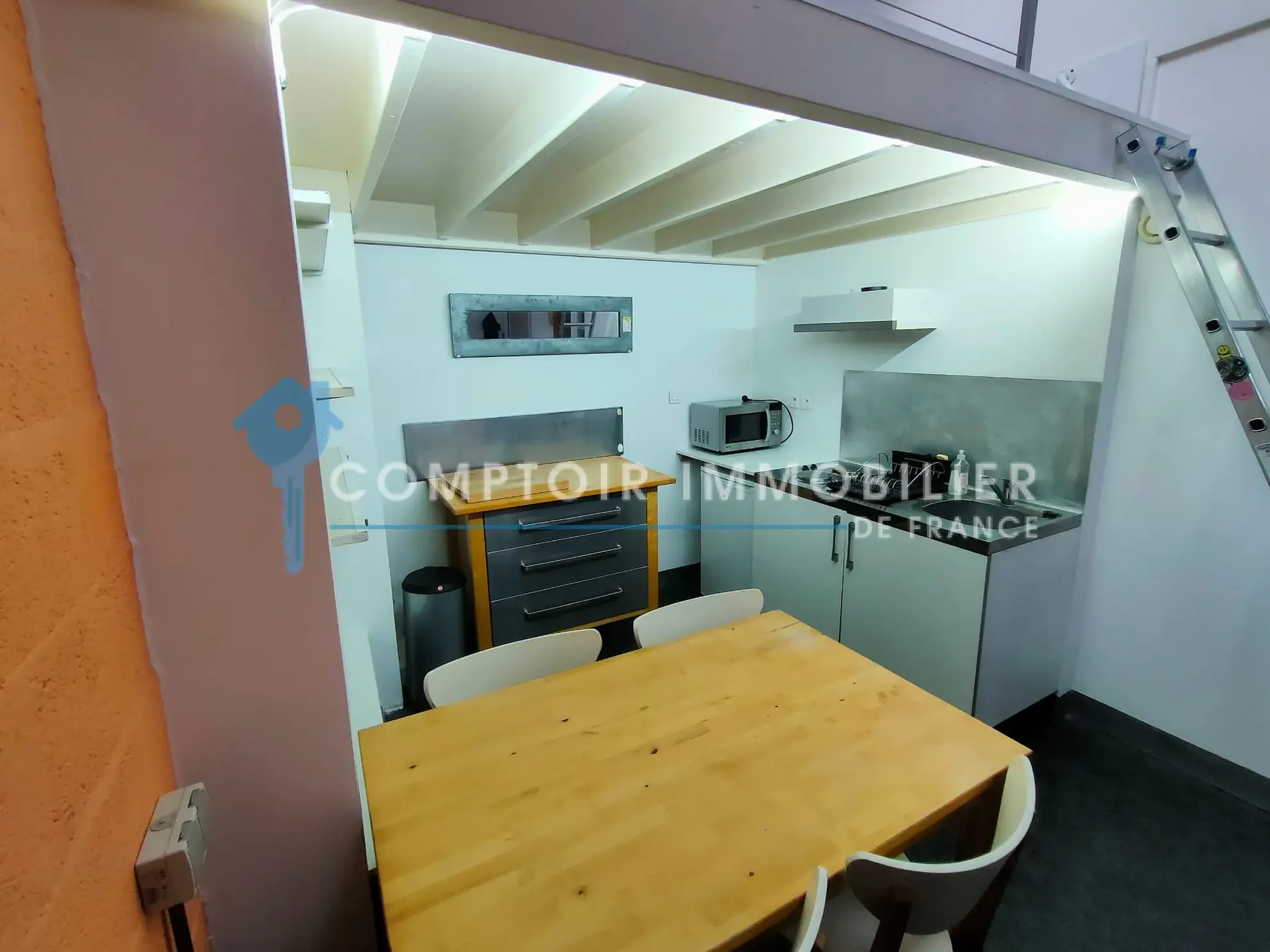 Studio à vendre à Grenoble Europôle - 21m2, idéal investisseur 