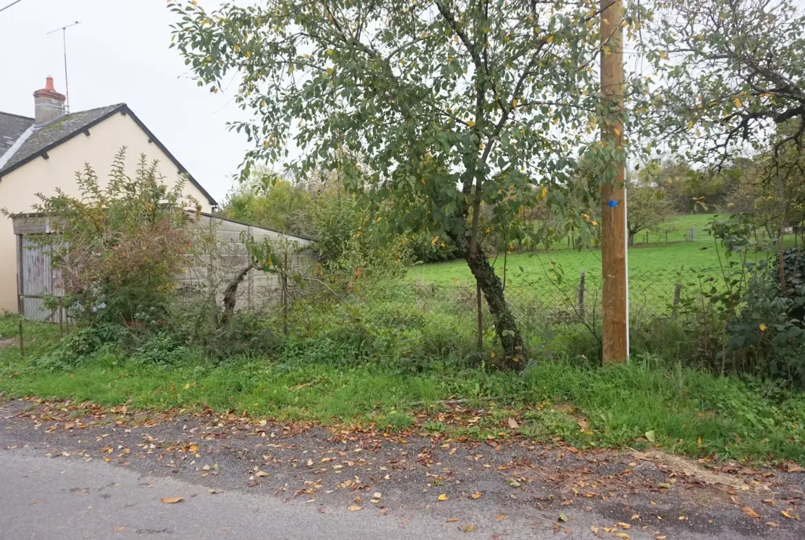 Maison de village à rafraîchir de 89 m² à Millay avec terrains et garage 