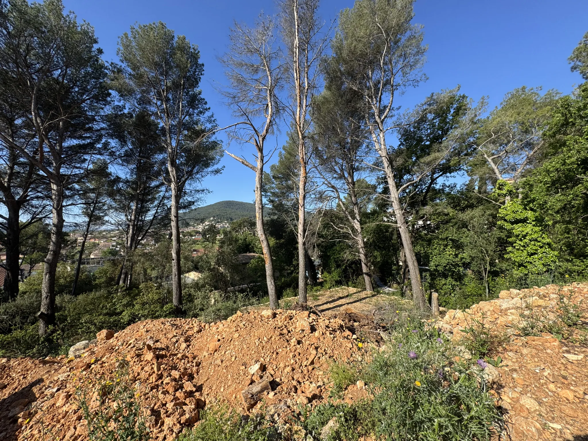 Terrain constructible de 757 m² à Cuers proche commodités 
