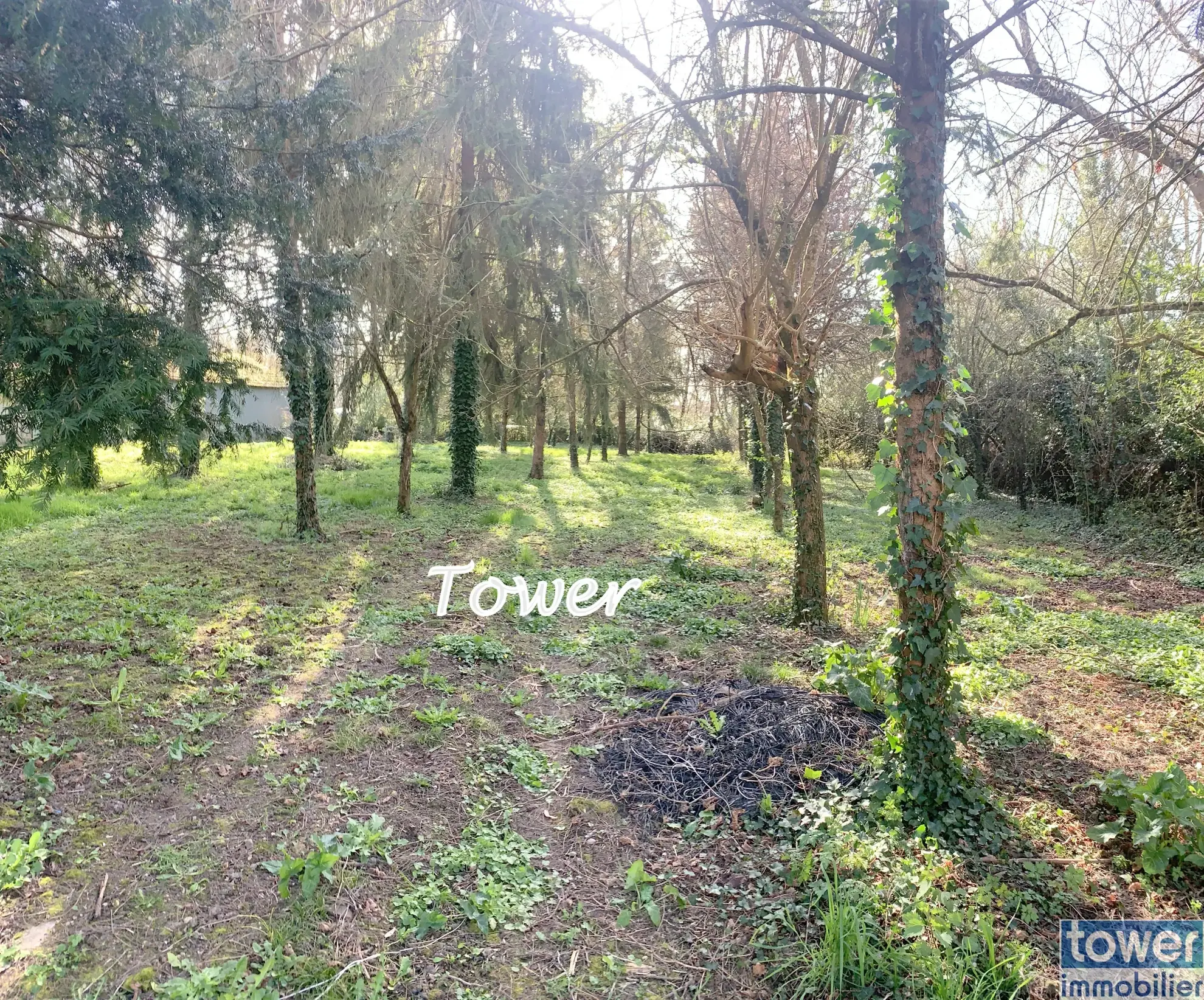 Maison à rénover de 100 m² avec dépendances sur 3000 m² à Cresse 