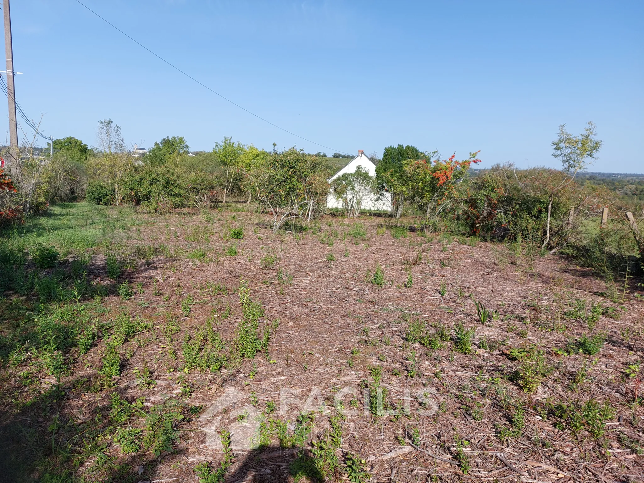 Maison à rénover de 50 m² avec grand terrain à Montjean-sur-Loire 