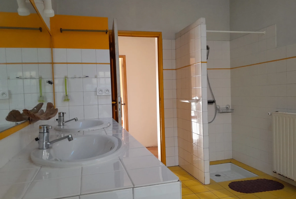 Maison de charme à Moissac avec grande surface et terrain arboré 