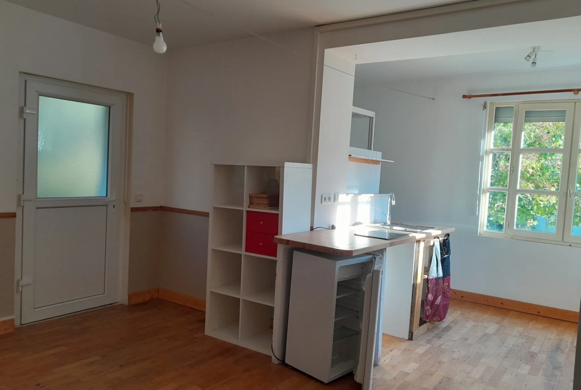 Maison de charme à Moissac avec grande surface et terrain arboré 