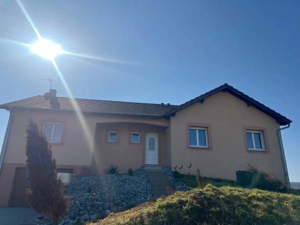 Belle maison à Héricourt proche Belfort avec grand sous-sol et terrasse lumineuse