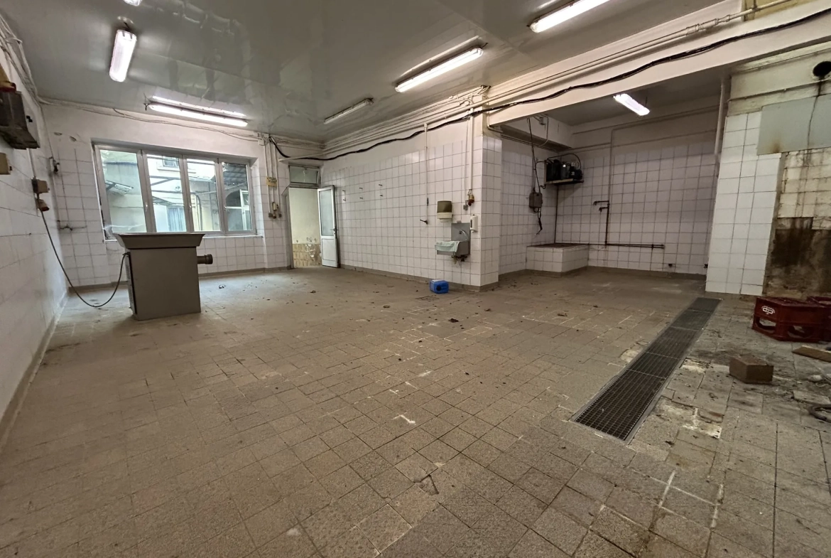 Immeuble en hyper centre de Forbach de 359 m² à rénover pour investissement 