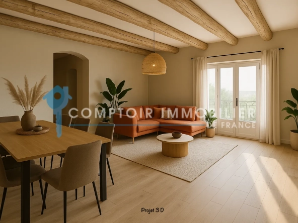 Charmante maison de ville rénovée avec cour et grange à Vauvert