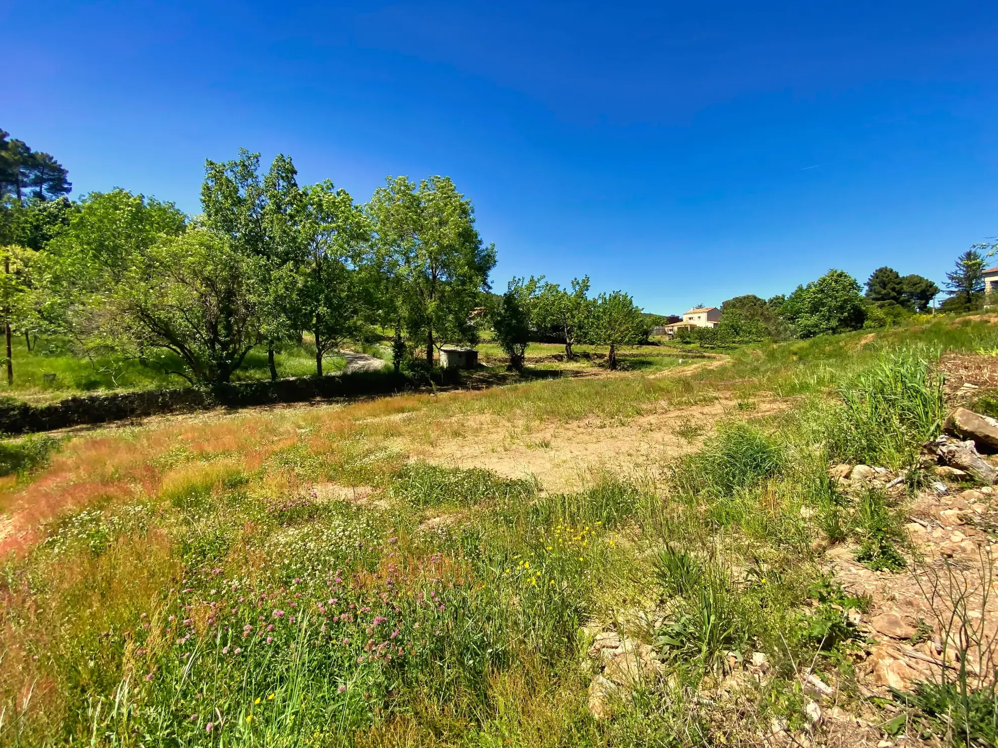 Terrain constructible de 1032 m² à Mercuer, proche Aubenas, viabilisé, calme 