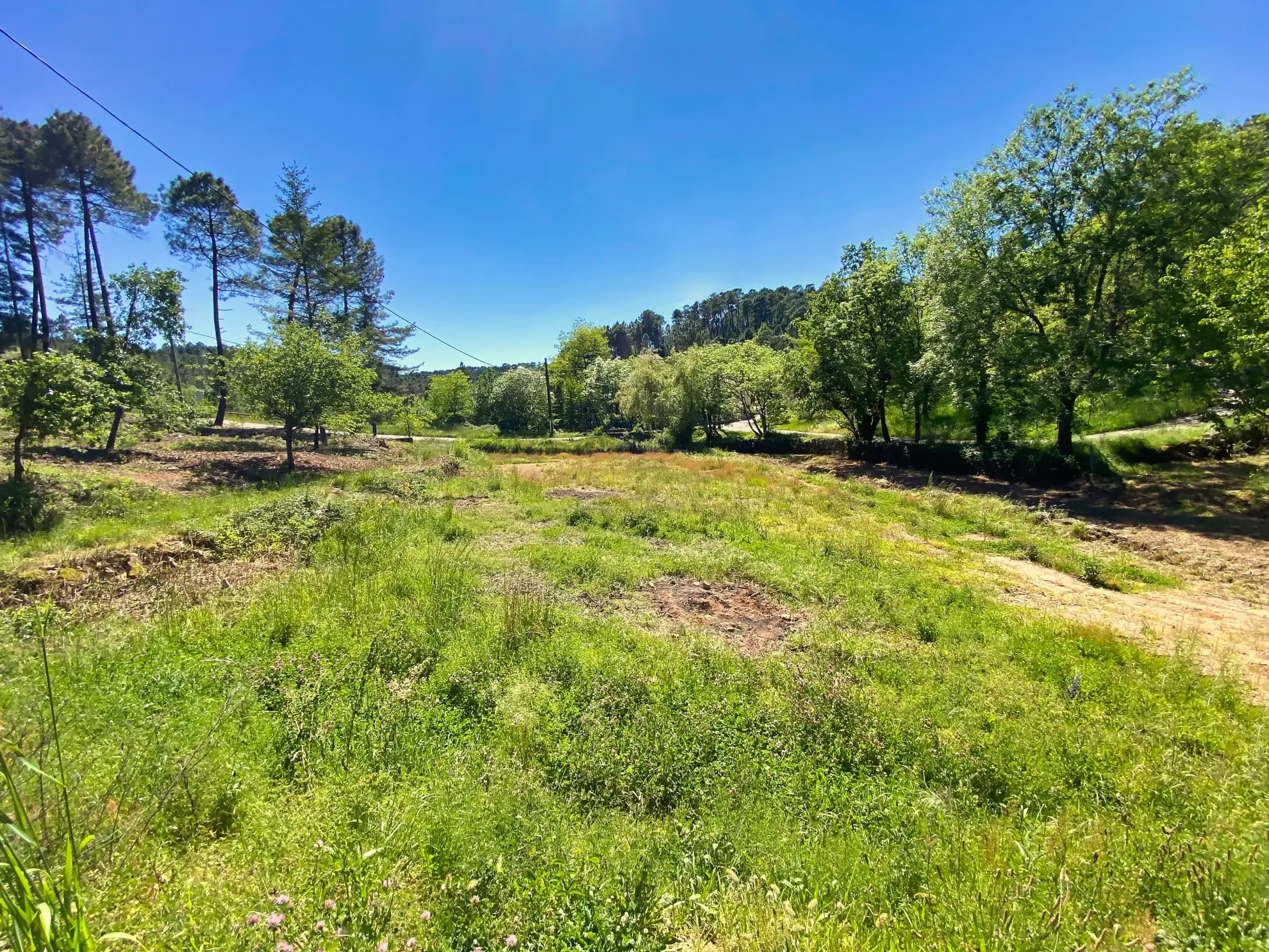 Terrain constructible de 1032 m² à Mercuer, proche Aubenas, viabilisé, calme 