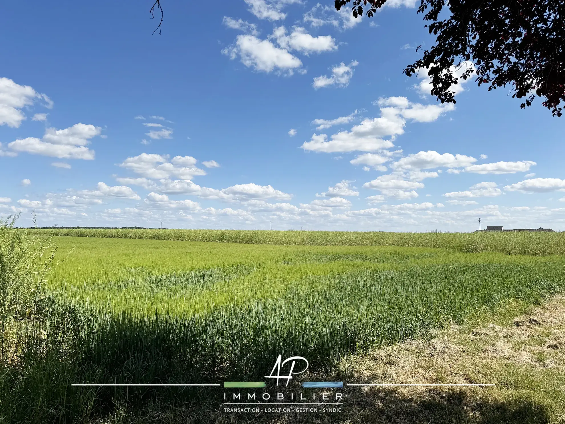 Grand terrain constructible de 900 m2 à Arceau près de Dijon 
