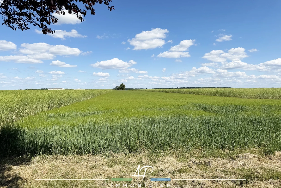 Grand terrain constructible de 900 m2 à Arceau près de Dijon 