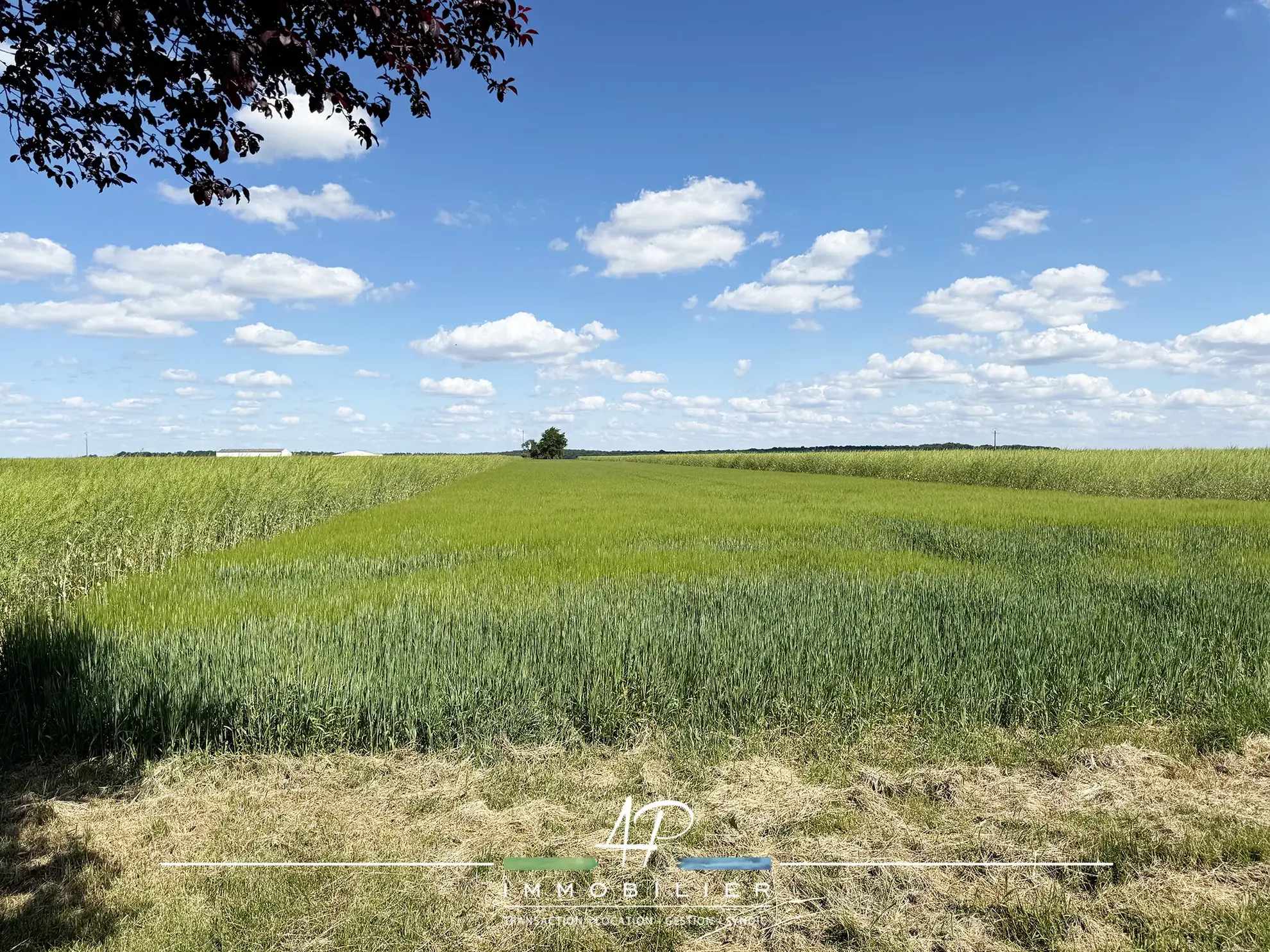Grand terrain constructible de 900 m2 à Arceau près de Dijon 
