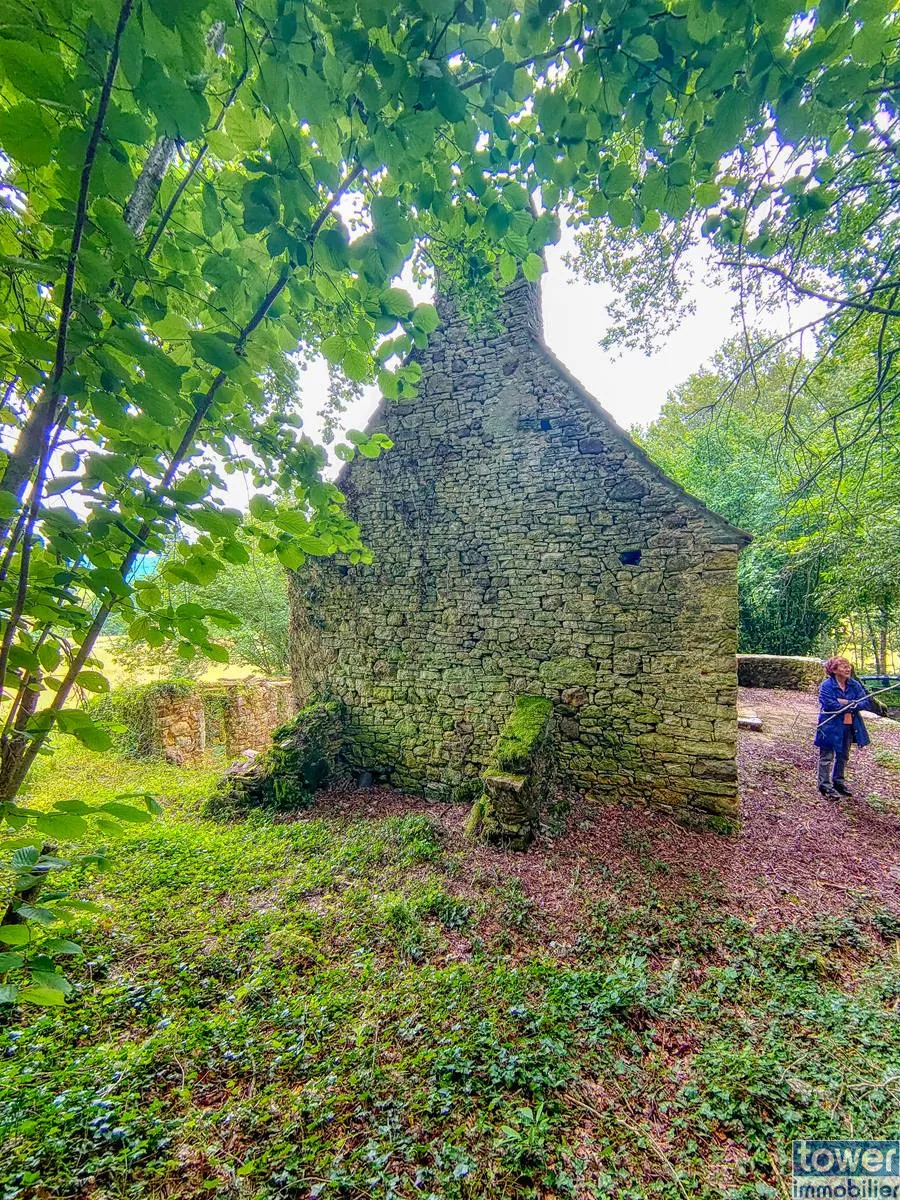 Maison quercynoise en pierre à restaurer à Montclera, calme et authenticity 