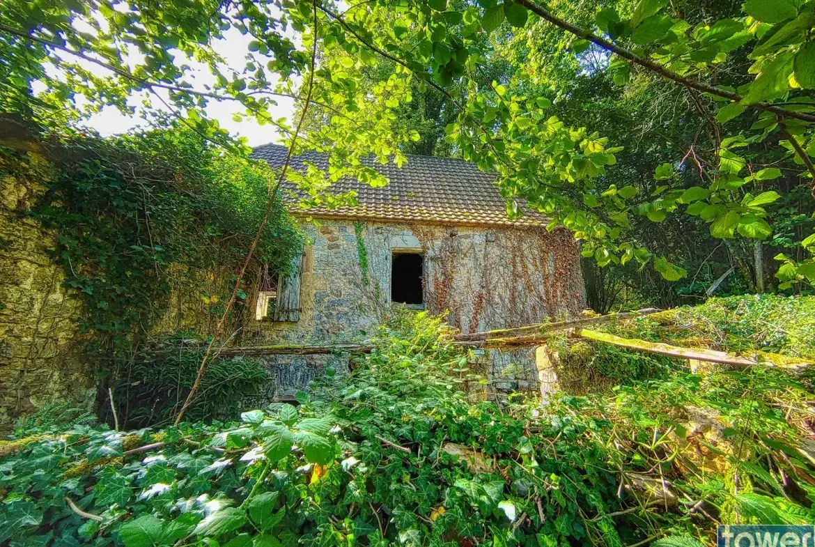 Maison quercynoise en pierre à restaurer à Montclera, calme et authenticity 