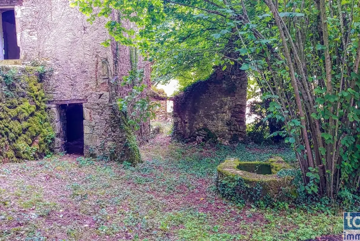Maison quercynoise en pierre à restaurer à Montclera, calme et authenticity 