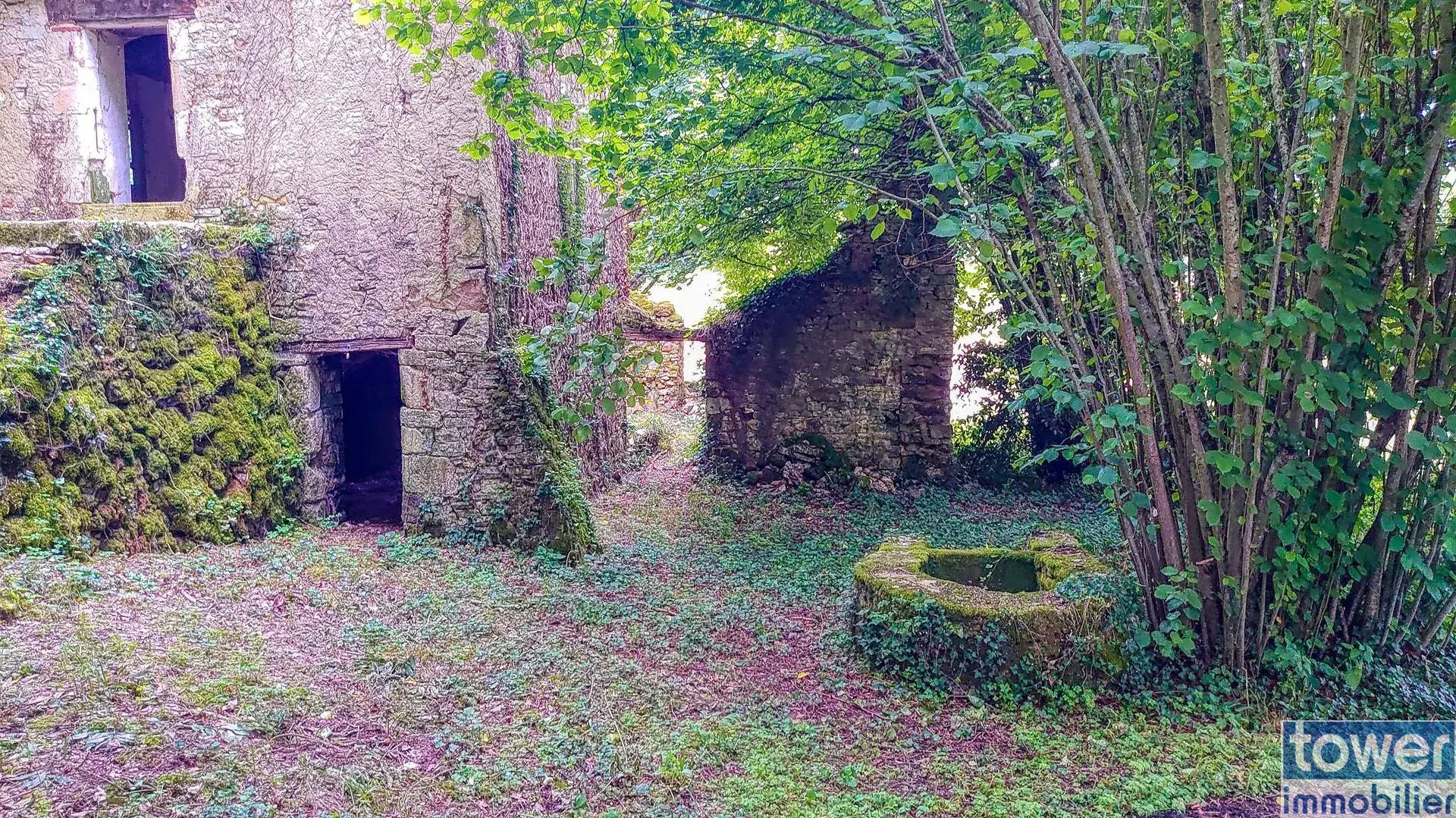 Maison quercynoise en pierre à restaurer à Montclera, calme et authenticity 