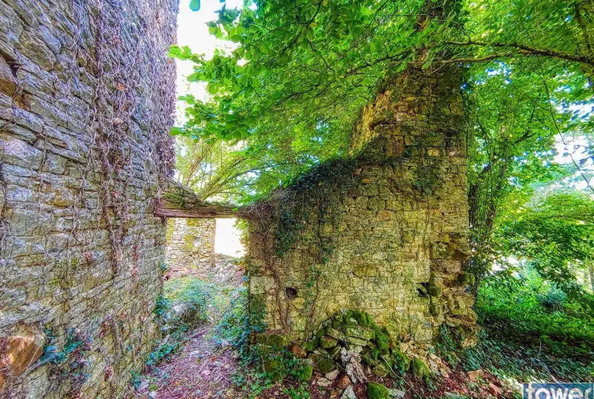 Maison quercynoise en pierre à restaurer à Montclera, calme et authenticity 