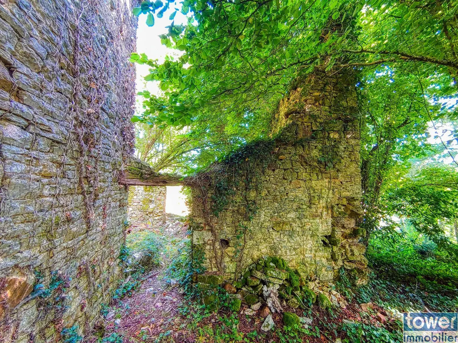 Maison quercynoise en pierre à restaurer à Montclera, calme et authenticity 