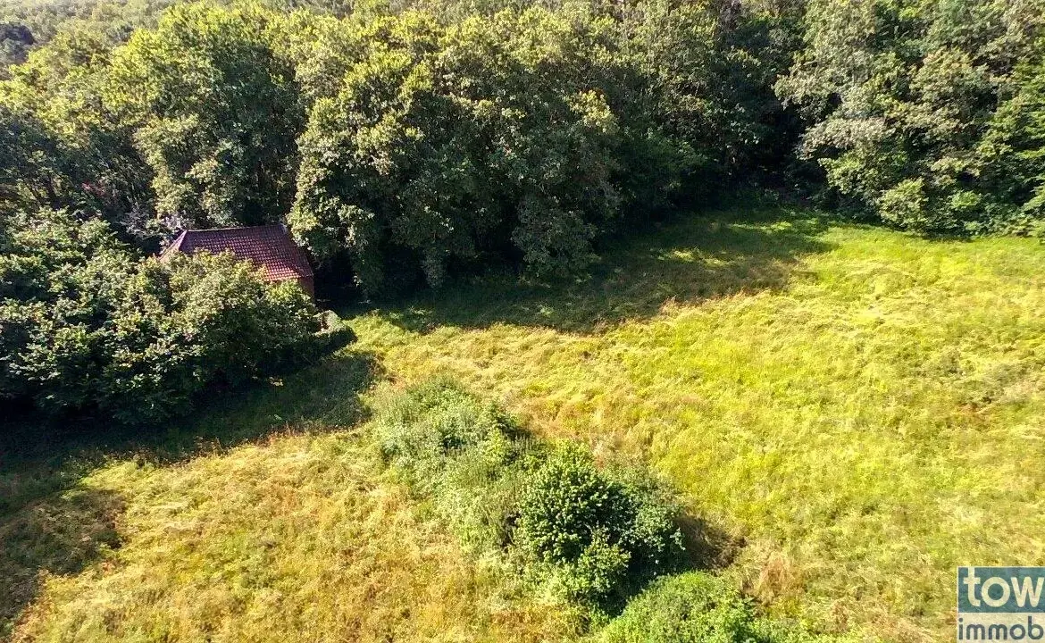 Maison quercynoise en pierre à restaurer à Montclera, calme et authenticity 